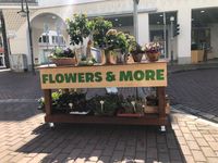 Flowers and More Kleve
